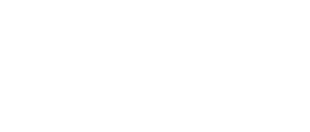 Logo Neos Flow
