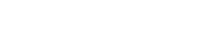 Logo Magnwall